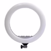 Aro de Luz LED cm Wayger WG A | Ultrabrillante | Ideal para Selfies TikTok y YouTube