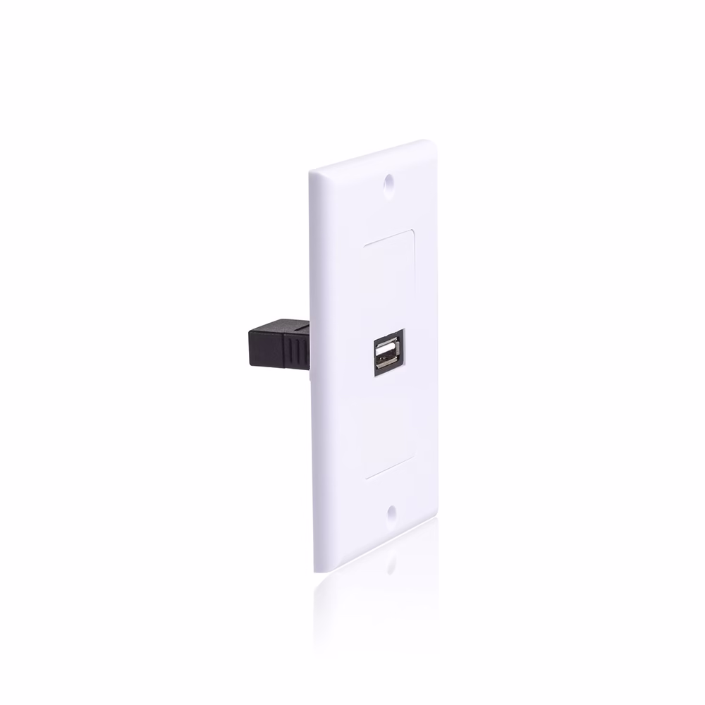 FacePlate USB    Lancom ZZ YKZ UB Wallplate Placa de Pared con Conector USB de Datos Placa de Pared con Puerto USB 