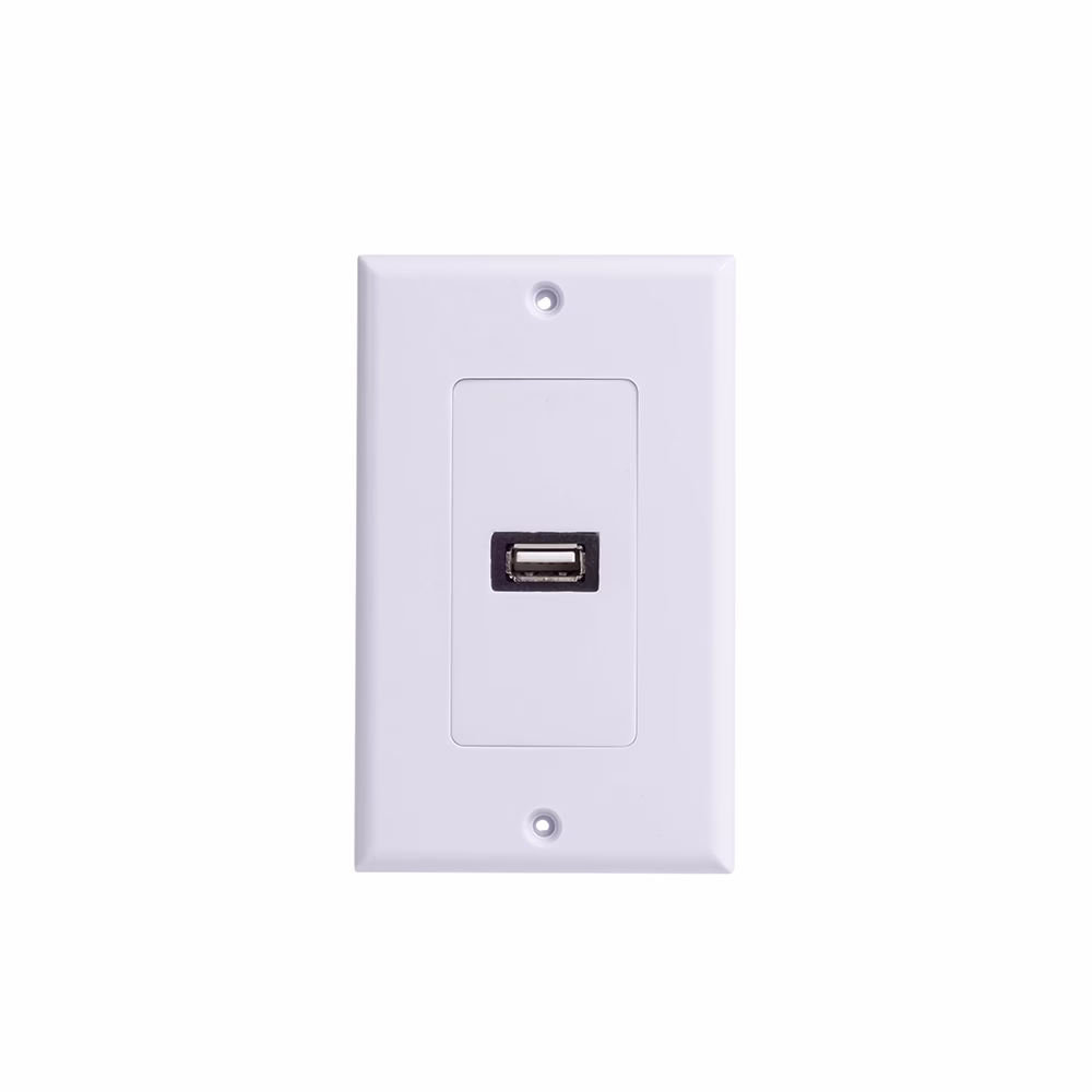 FacePlate USB    Lancom ZZ YKZ UB Wallplate Placa de Pared con Conector USB de Datos Placa de Pared con Puerto USB 