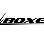 boxer