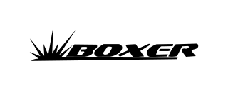 Logo Boxer